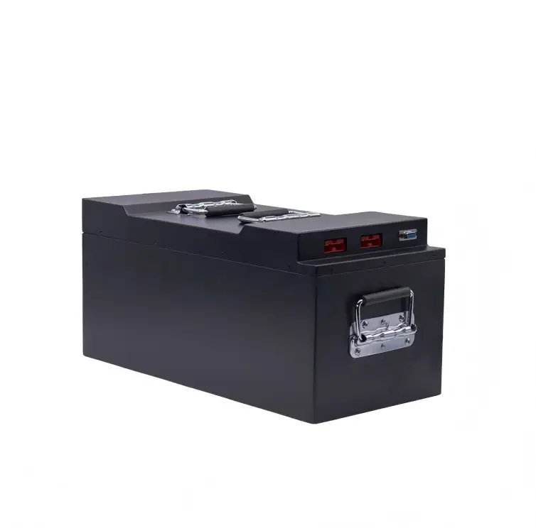 Customized Battery Packs 48V 50Ah for Low Speed Vehicles